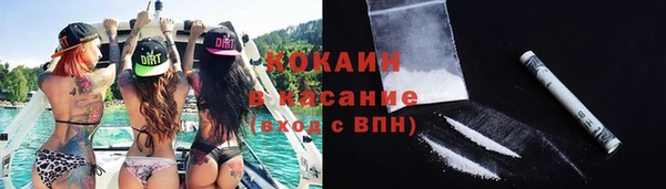 молекула духа Покровск