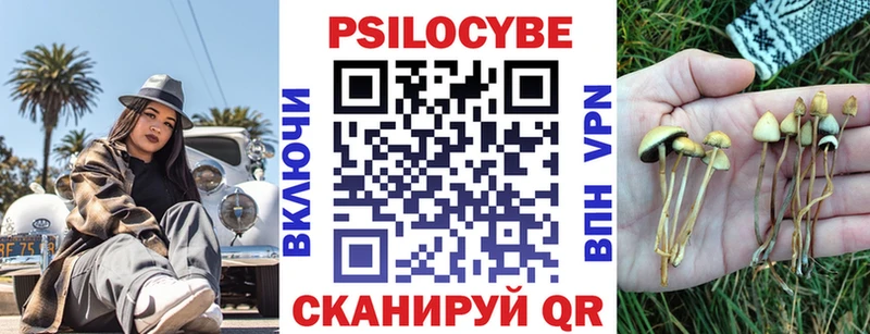 Галлюциногенные грибы Psilocybine cubensis  Купить где  Туймазы 